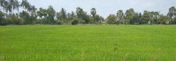  Agricultural Land for Sale in Tenali, Guntur