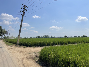  Agricultural Land for Sale in Lalton Kalan, Ludhiana