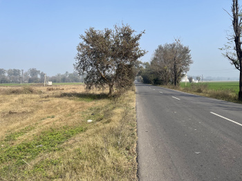  Agricultural Land for Sale in Pakhowal Road, Ludhiana