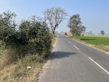  Agricultural Land for Sale in Pakhowal Road, Ludhiana