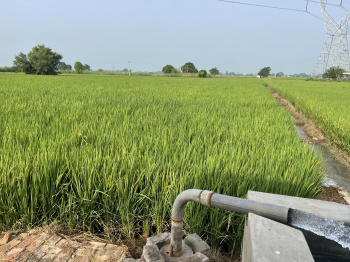  Agricultural Land for Sale in Lalton Kalan, Ludhiana