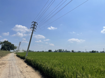  Residential Plot for Sale in Ferozepur Road, Ludhiana