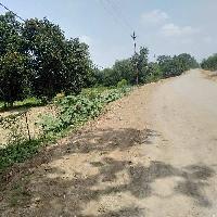 Commercial Land for Sale in Mangla, Bilaspur