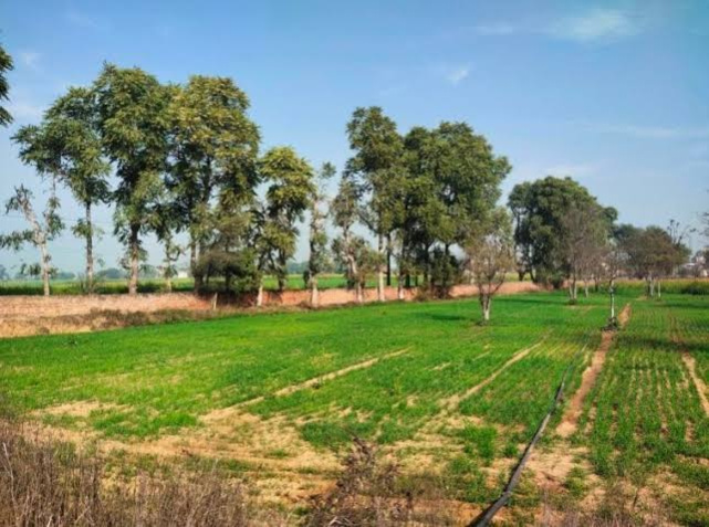  Residential Plot 7 Acre for Sale in Kharkhoda, Sonipat