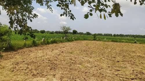  Agricultural Land 13 Acre for Sale in Bawal, Rewari