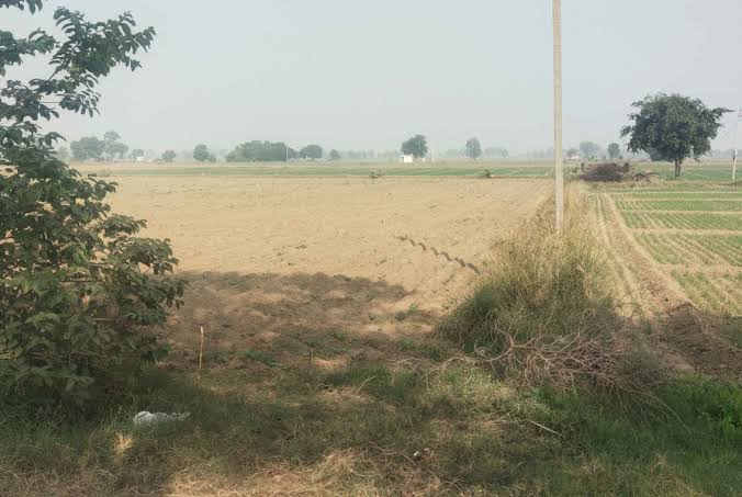  Agricultural Land 13 Acre for Sale in Bawal, Rewari