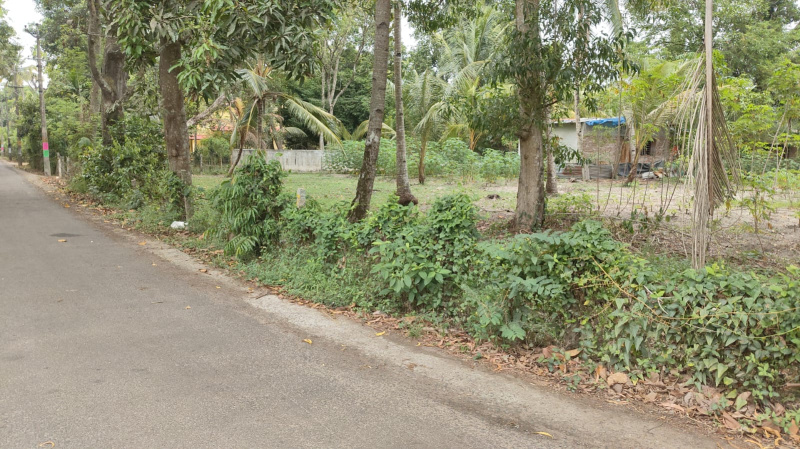  42 Cent Residential Plot for Sale in Haripad, Alappuzha