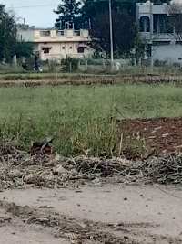  Residential Plot for Sale in Rampally, Hyderabad