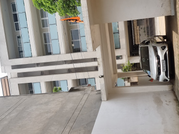 8 BHK House for Sale in Block A, Sushant Lok Phase I, Gurgaon