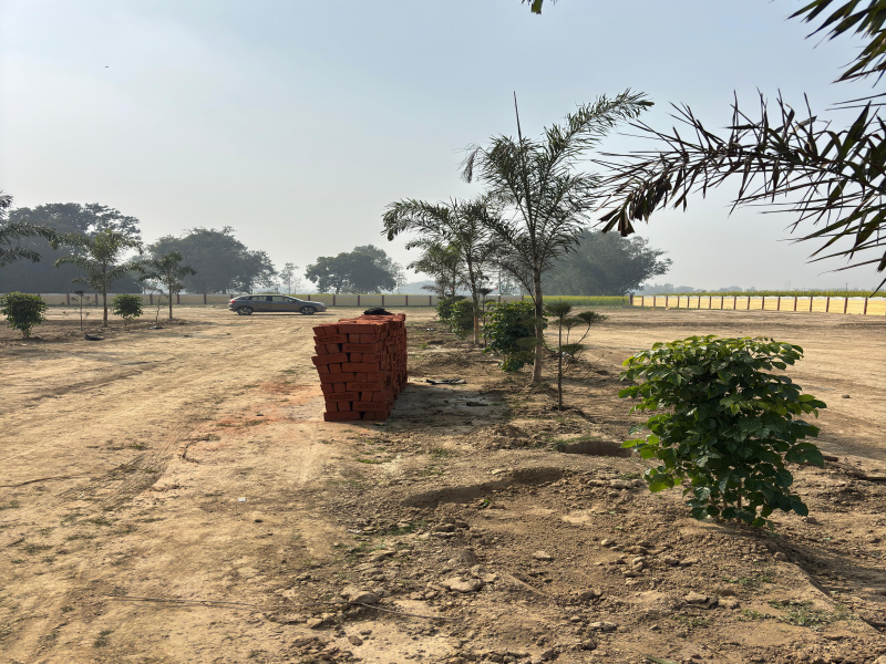  1000 Sq.ft. Residential Plot for Sale in Sultanpur Road, Lucknow