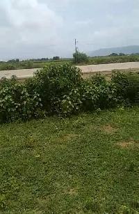  Commercial Land for Sale in NH 31, Nawada
