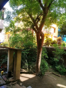 7 BHK House & Villa for Sale in Srirampur, Bardhaman