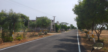  Residential Plot for Sale in Panjapur, Tiruchirappalli