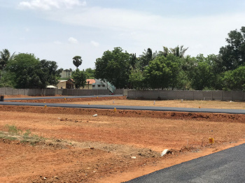  Residential Plot for Sale in Somarasempettai, Tiruchirappalli