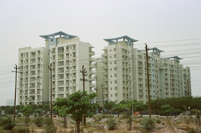 3 BHK Apartment 1650 Sq.ft. for Rent in Sector 50 Noida