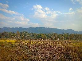  Agricultural Land for Sale in Thahekhu, Dimapur