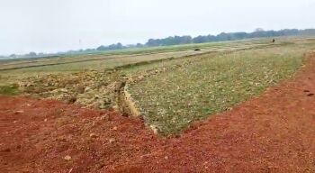  Residential Plot for Sale in Daladili, Ranchi