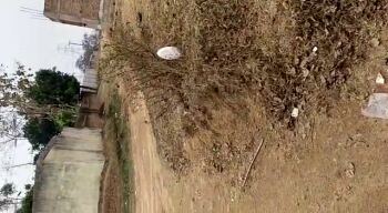  Residential Plot for Sale in Pandra, Ranchi