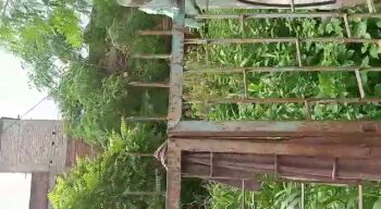  Residential Plot for Sale in Piska More, Ranchi