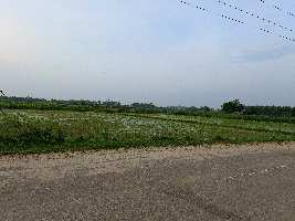  Industrial Land for Sale in Shahzadpur, Ambala