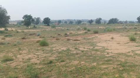  62 Bigha Agricultural/Farm Land for Sale in Suratgarh, Ganganagar