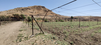  Agricultural Land for Sale in Junnar, Pune