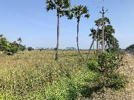  Agricultural Land for Sale in Gudlavalleru, Krishna