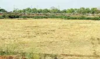  Agricultural Land for Sale in Agra lucknow safai cut, Etawah, Etawah