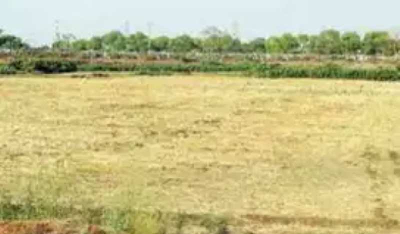  Agricultural Land 5 Bigha for Sale in Agra lucknow safai cut Etawah