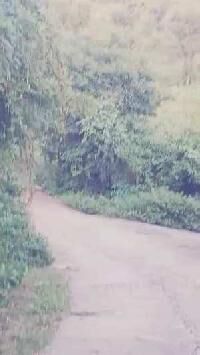  Agricultural Land for Sale in Morni Hills, Panchkula