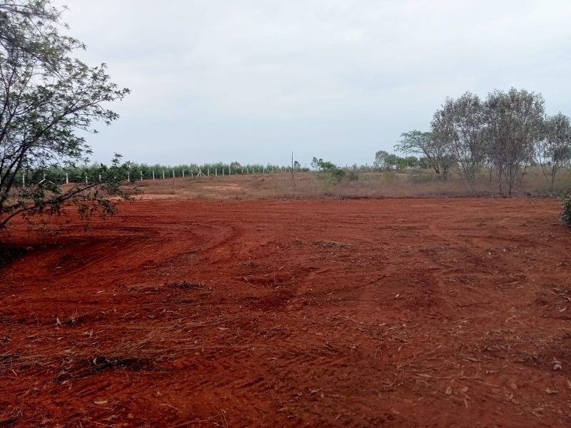  Residential Plot 25 Cent for Sale in Iluppur, Pudukkottai