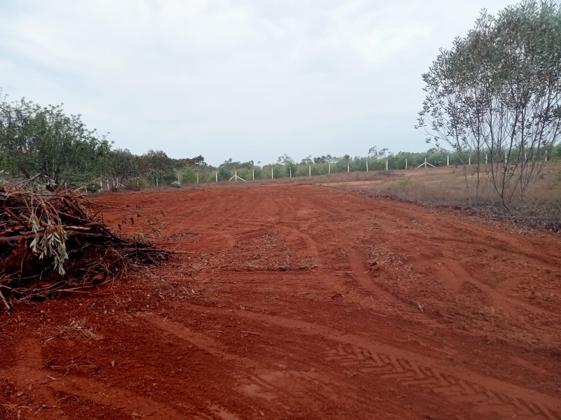  Residential Plot 25 Cent for Sale in Iluppur, Pudukkottai