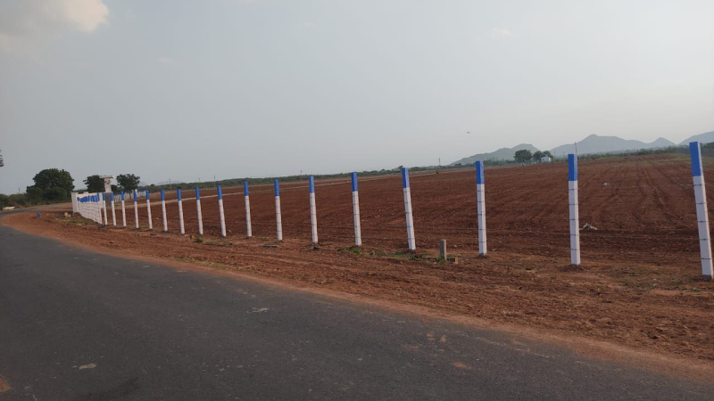  Agricultural Land 30 Acre for Sale in Donakonda, Prakasam