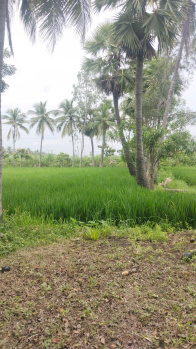  Agricultural Land for Sale in Ramachandrapuram, East Godavari