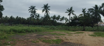  Residential Plot for Sale in Amalapuram, East Godavari