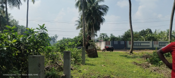 Agricultural Land for Sale in Amalapuram, East Godavari