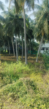 Agricultural Land for Sale in Amalapuram, East Godavari