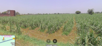  Agricultural Land for Sale in Rashidpur Garhi, Bijnor