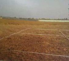  Agricultural Land for Sale in Ranavav, Porbandar