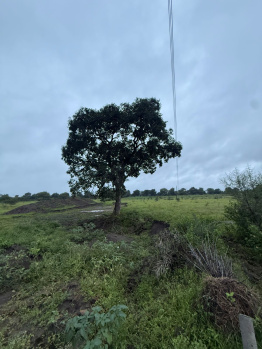  Agricultural Land for Sale in Sanwer Road, Indore