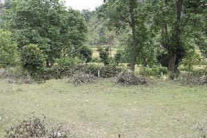  Commercial Land for Sale in Katra, Reasi