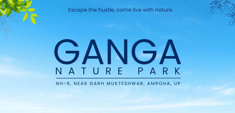 Gajraula, Amroha photo 3