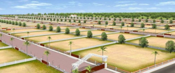 Agricultural Land for Sale in Dholera, Ahmedabad