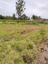  Agricultural Land for Sale in T Narasipura Road, Mysore