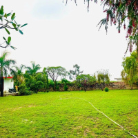  Agricultural Land for Sale in Tauru, Nuh