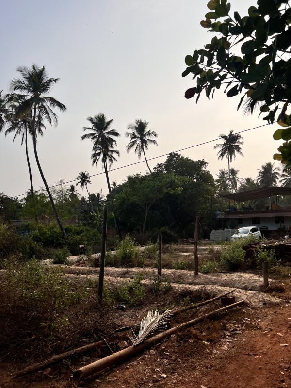 2200 Sq.ft. Residential Plot for Sale in Benaulim, Goa