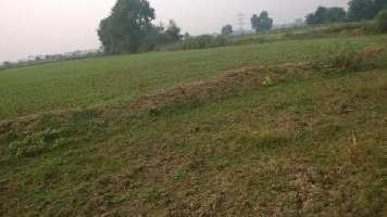  Agricultural Land for Sale in Naya Bazar, Ajmer