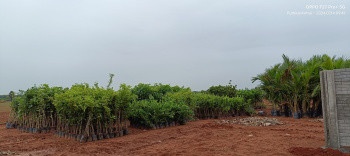  Agricultural Land for Sale in Kuvathur, Kanchipuram
