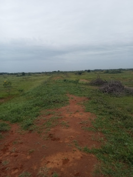  Agricultural Land for Sale in Nanguneri, Tirunelveli