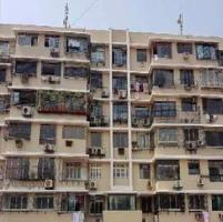 2 BHK Flat for Rent in Tardeo, Mumbai